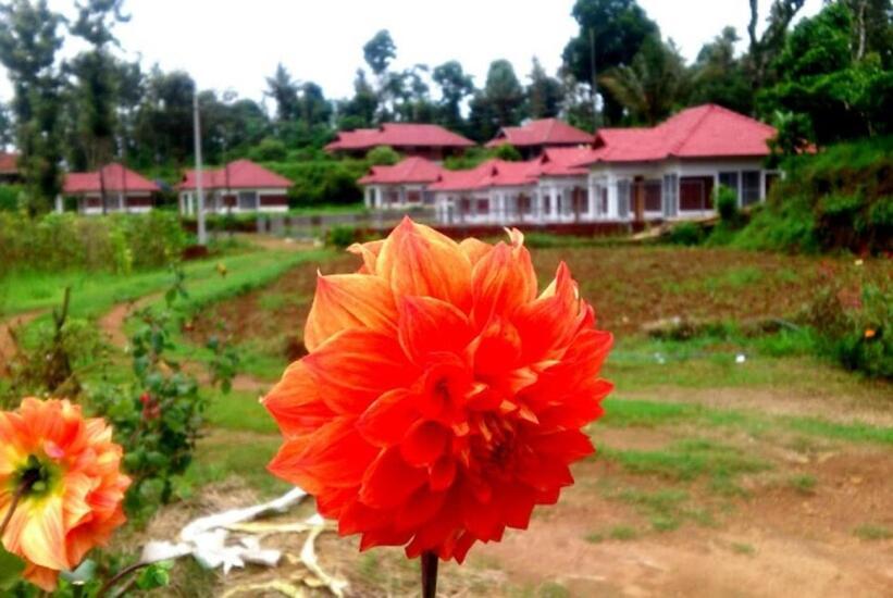 Himani Heritage Resorts, Formerly Camp Nishani Holidays Madikeri Exteriör bild